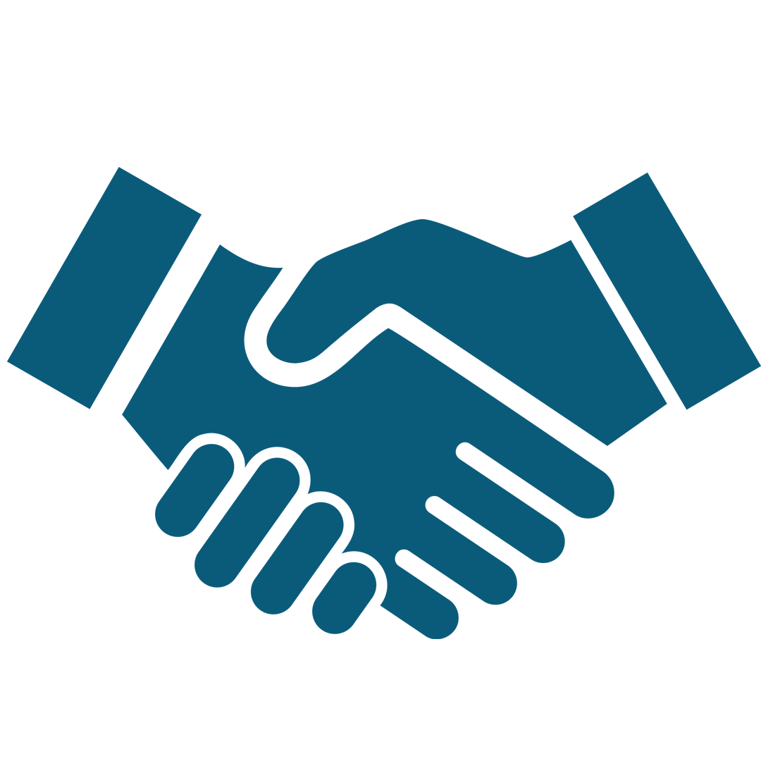 Our Commitment